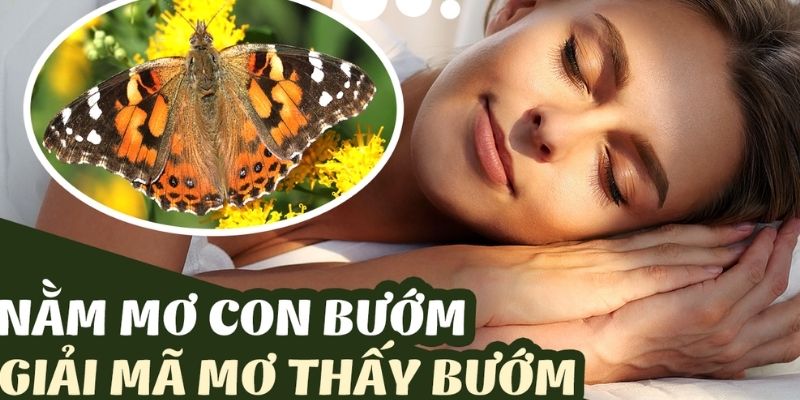 Những ý nghĩa sâu sắc về con bướm